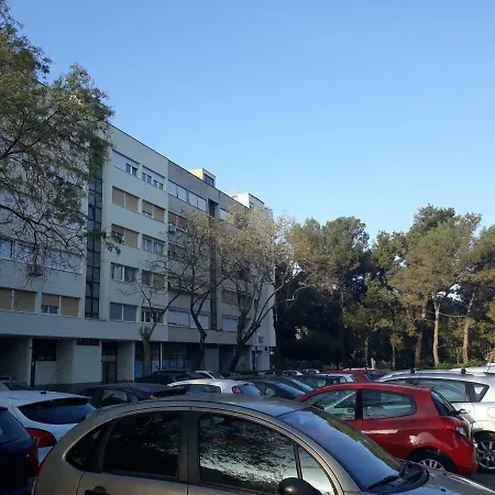 Ivona * Split